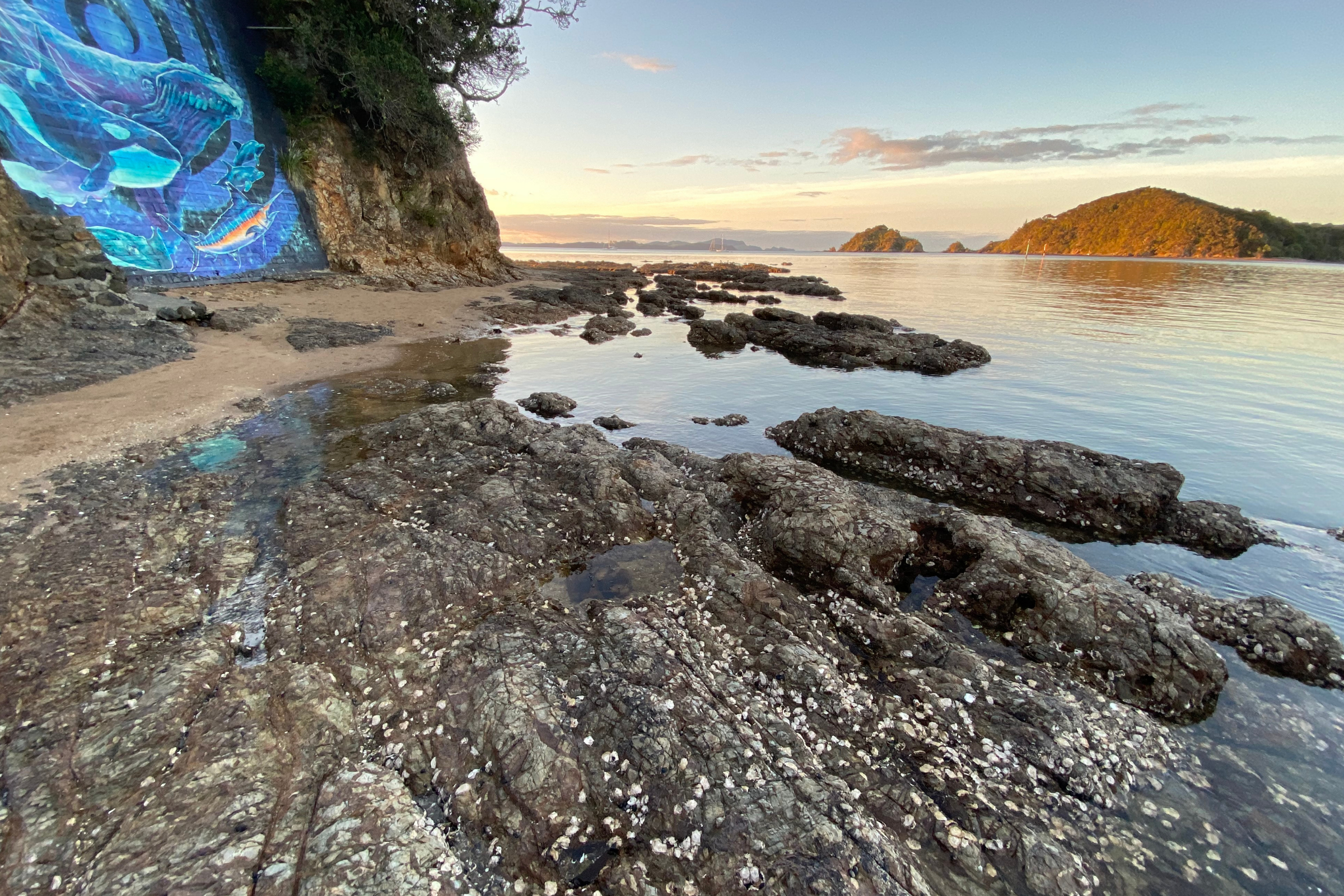 101 paihia.webp